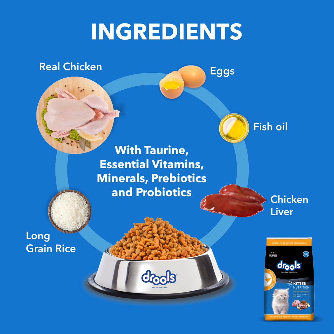 Drools Kitten Chicken Dry Food - 1.2Kg