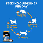 Load image into Gallery viewer, Drools Kitten Chicken Dry Food - 1.2Kg