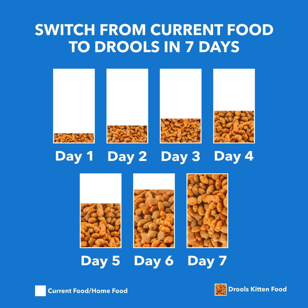 Drools Kitten Chicken Dry Food - 1.2Kg