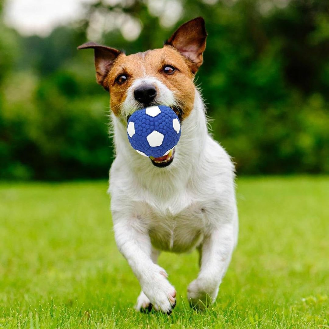 EE Toys-Latex Football-Blue & White for Dogs