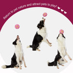 Load image into Gallery viewer, EE Toys-Latex Pie Dog Toy