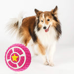 Load image into Gallery viewer, EE Toys-Latex Pie Dog Toy