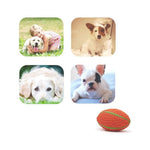 Load image into Gallery viewer, EE Toys-Latex Rugby for Dogs
