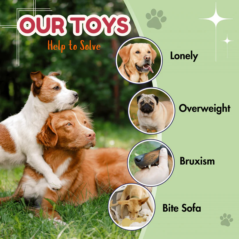 EE Toys-Latex Squeaky Mr. Cat Dog Toy