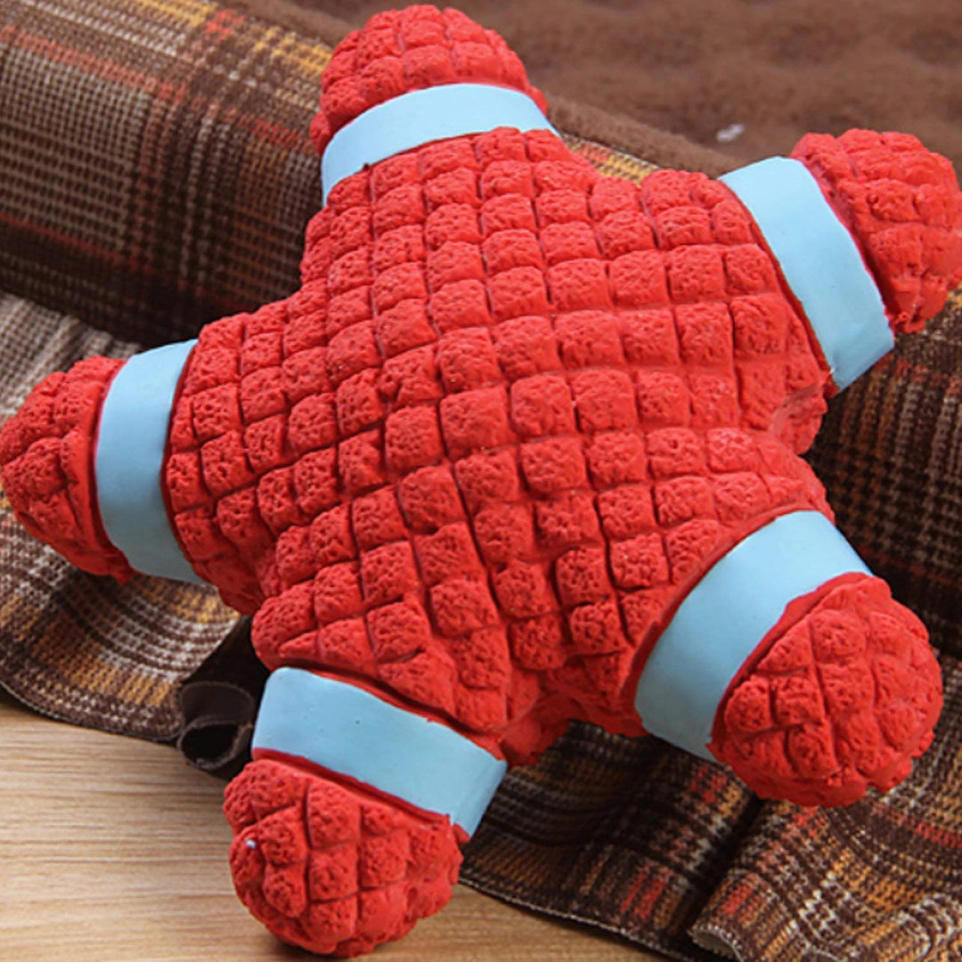 EE Toys-Latex Star Dog Toy