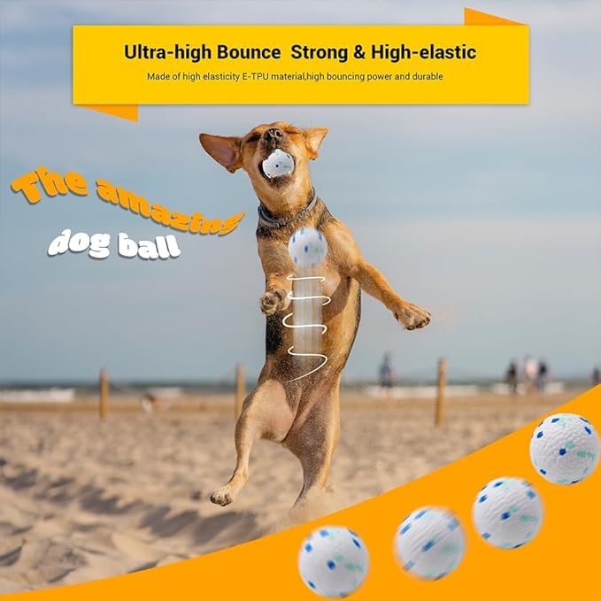 EE Toys-POP Ball Dog Toy