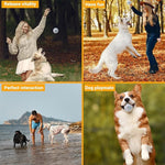 Load image into Gallery viewer, EE Toys-POP Ball Dog Toy