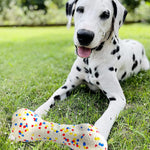 Load image into Gallery viewer, EE Toys-POP Bone Doy Toy