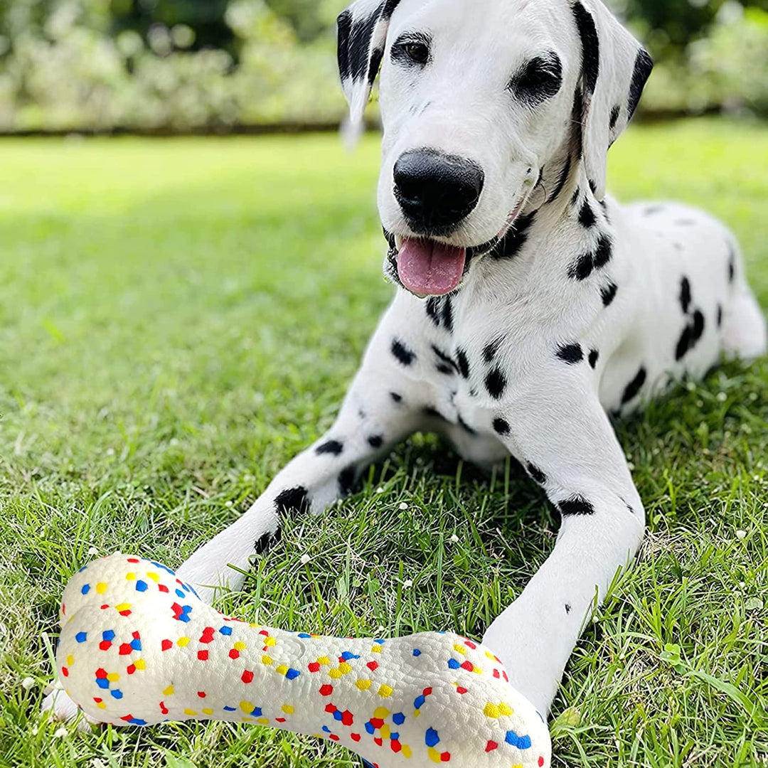 EE Toys-POP Bone Doy Toy