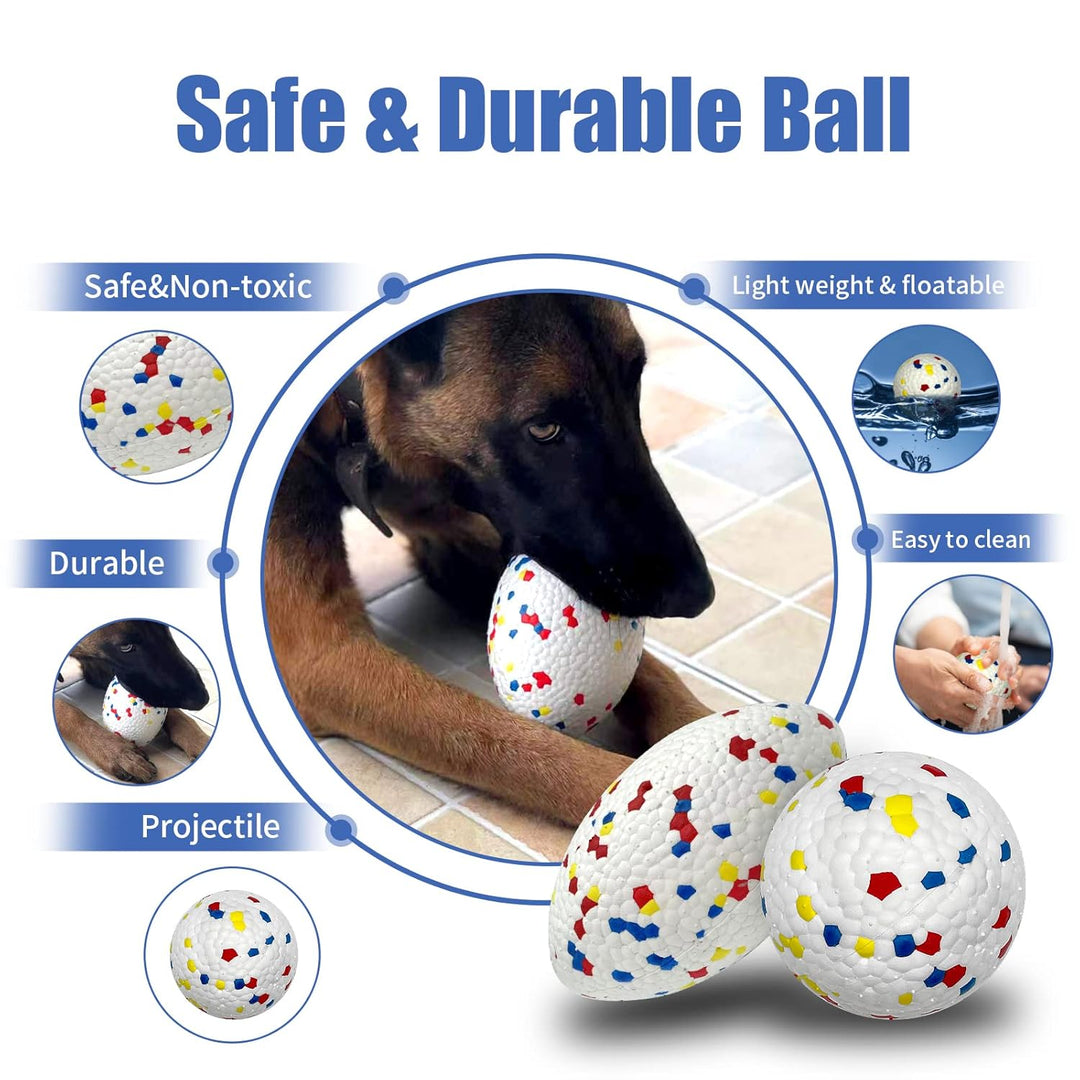 EE Toys-POP Football Dog Toy
