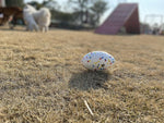 Load image into Gallery viewer, EE Toys-POP Football Dog Toy