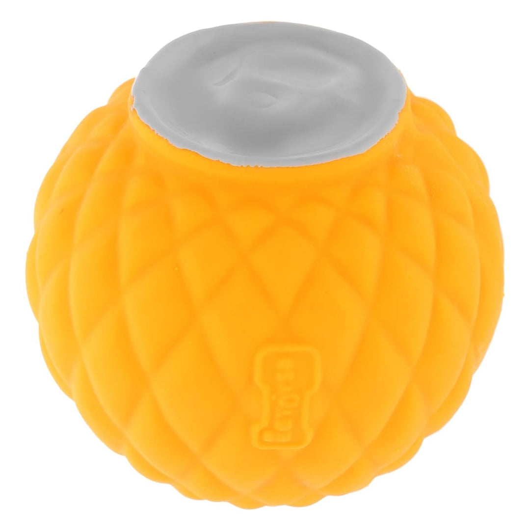 EE Toys-Latex Squeaky Pineapple Dog Toy