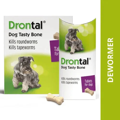 Drontal Plus Tasty Deworming Tablets for Dogs – Broad Spectrum Protection (6 Tablets)