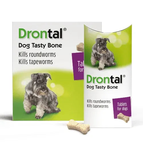 Drontal Plus Tasty Deworming Tablets for Dogs – Broad Spectrum Protection (6 Tablets)