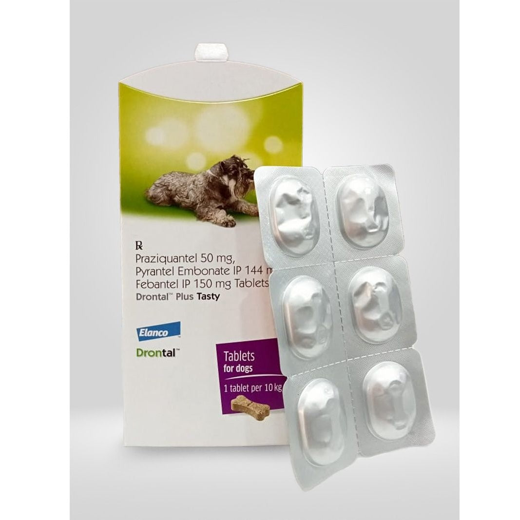Drontal Plus Tasty Deworming Tablets for Dogs – Broad Spectrum Protection (6 Tablets)
