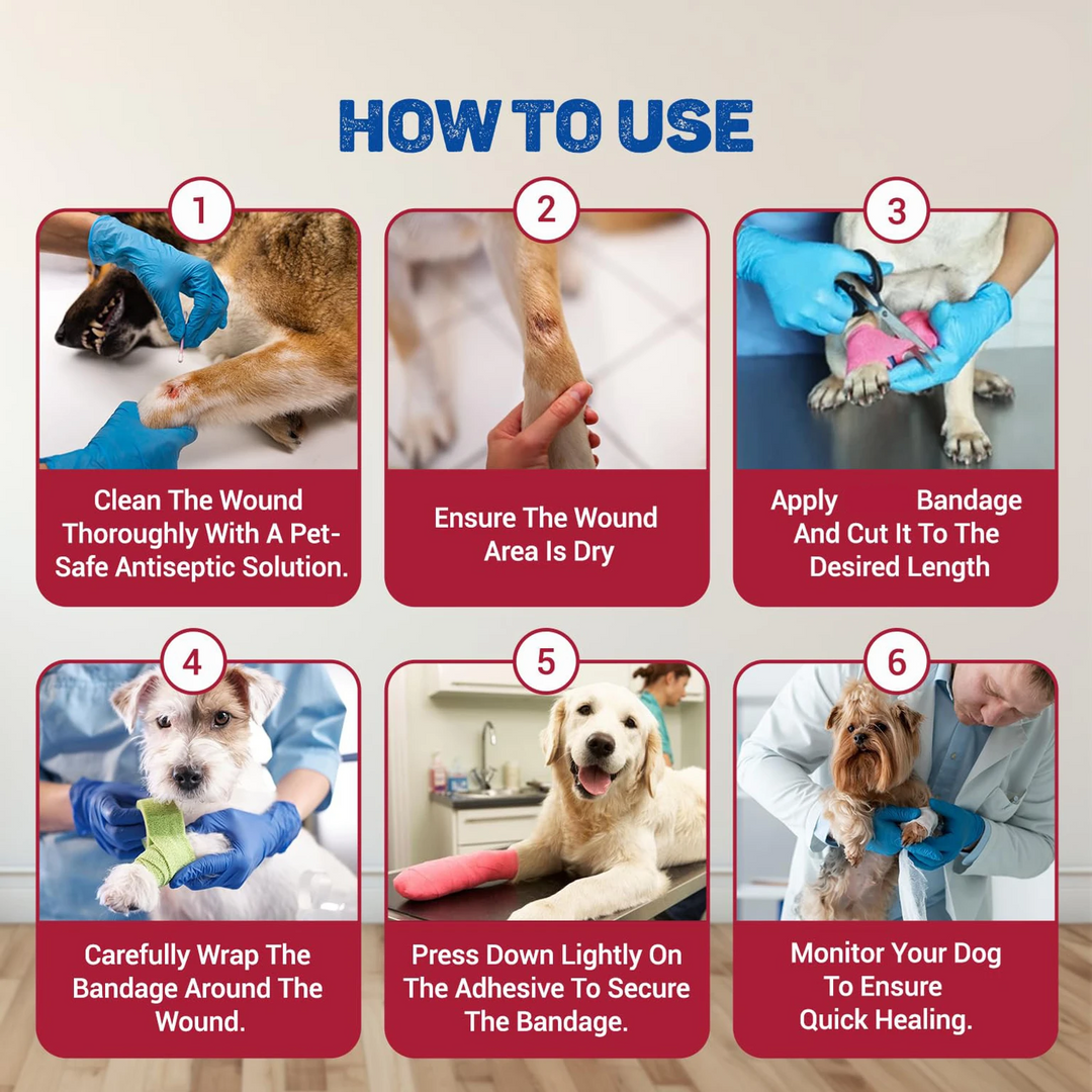 Self-Adhesive Cohesive Bandage for Pets & Humans (5cm x 4.5m) | Multi-Purpose First Aid Wrap