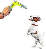 Load image into Gallery viewer, Future Toys-Boomerang Dog Toy (Color May Vary)