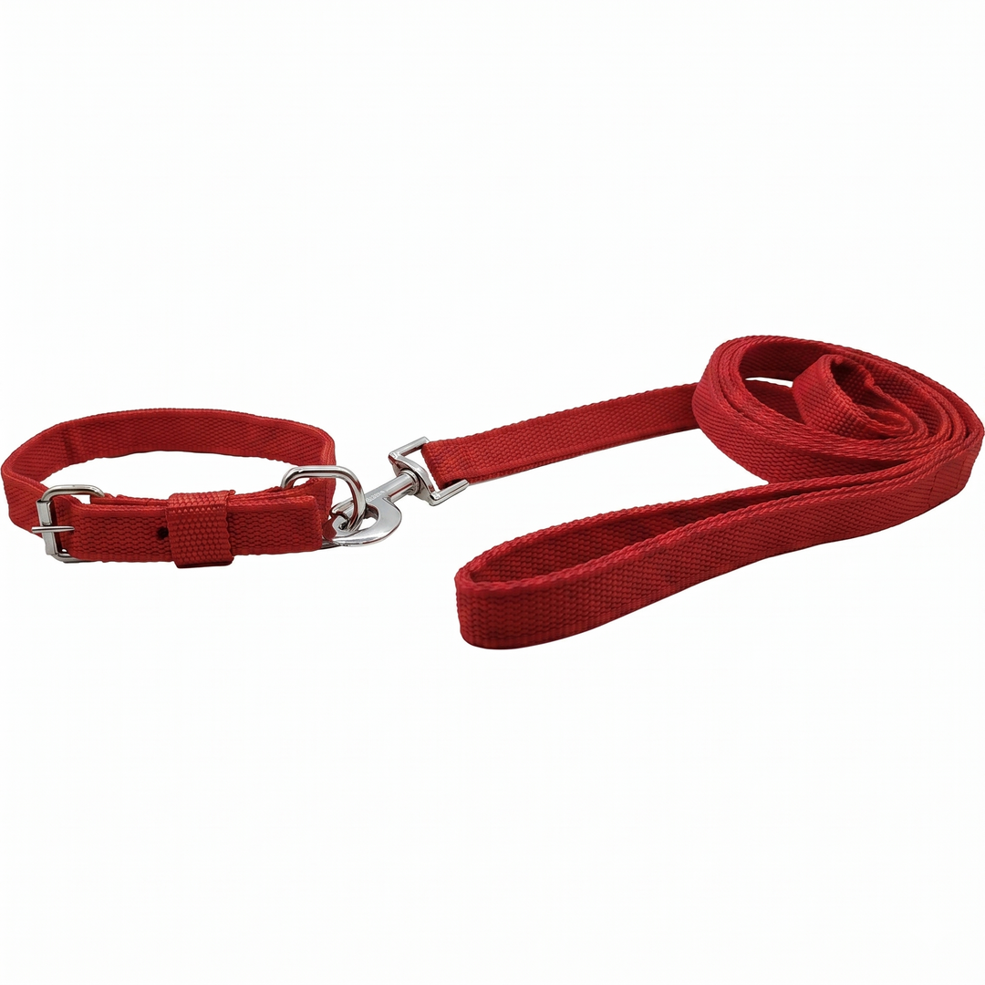 Premium Polypropylene Dog Collar & Leash Set