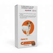 Bravecto 250 mg Chewable Tablet for Small Dogs (4.5–10 kg)