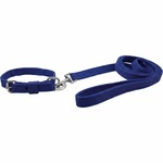 Load image into Gallery viewer, Premium Polypropylene Dog Collar &amp; Leash Set