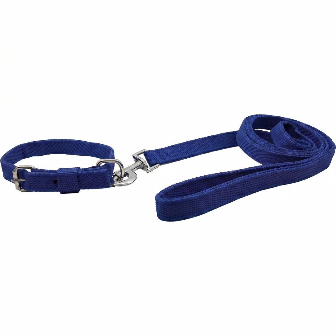 Premium Polypropylene Dog Collar & Leash Set