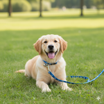 Load image into Gallery viewer, 15mm Leash &amp; Collar Set – Durable Nylon Printed Design with Bell for Pets (Color May Vary)