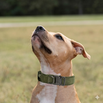 Load image into Gallery viewer, Heavy-Duty Tactical Dog Collar with Control Handle &amp; Quick-Release