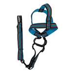 Load image into Gallery viewer, Nunbell Reflective Padded Dog Leash &amp; Harness Set