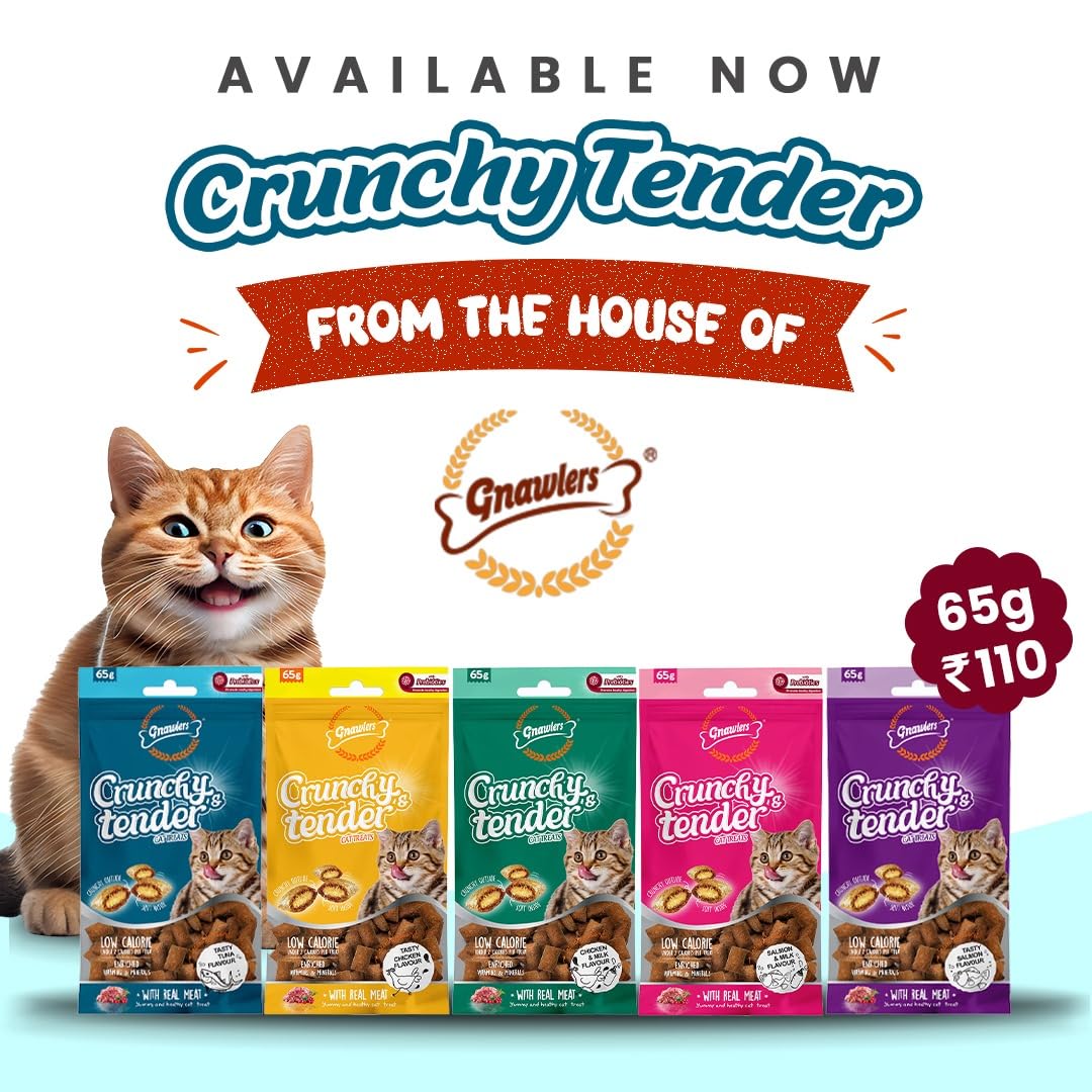 Gnawlers Crunchy & Tender Cat Treats – Salmon & Milk Flavour (65g)