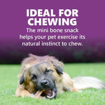 Load image into Gallery viewer, Gnawlers Puppy Snack Mini Bones – Training Treats for Puppies (Assorted Flavors, 250g)