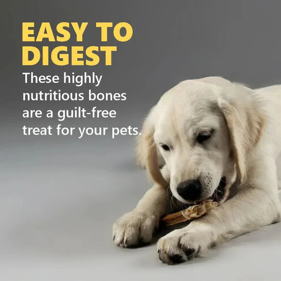 Gnawlers Calcium Milk Bone – Dental Treats for Dogs
