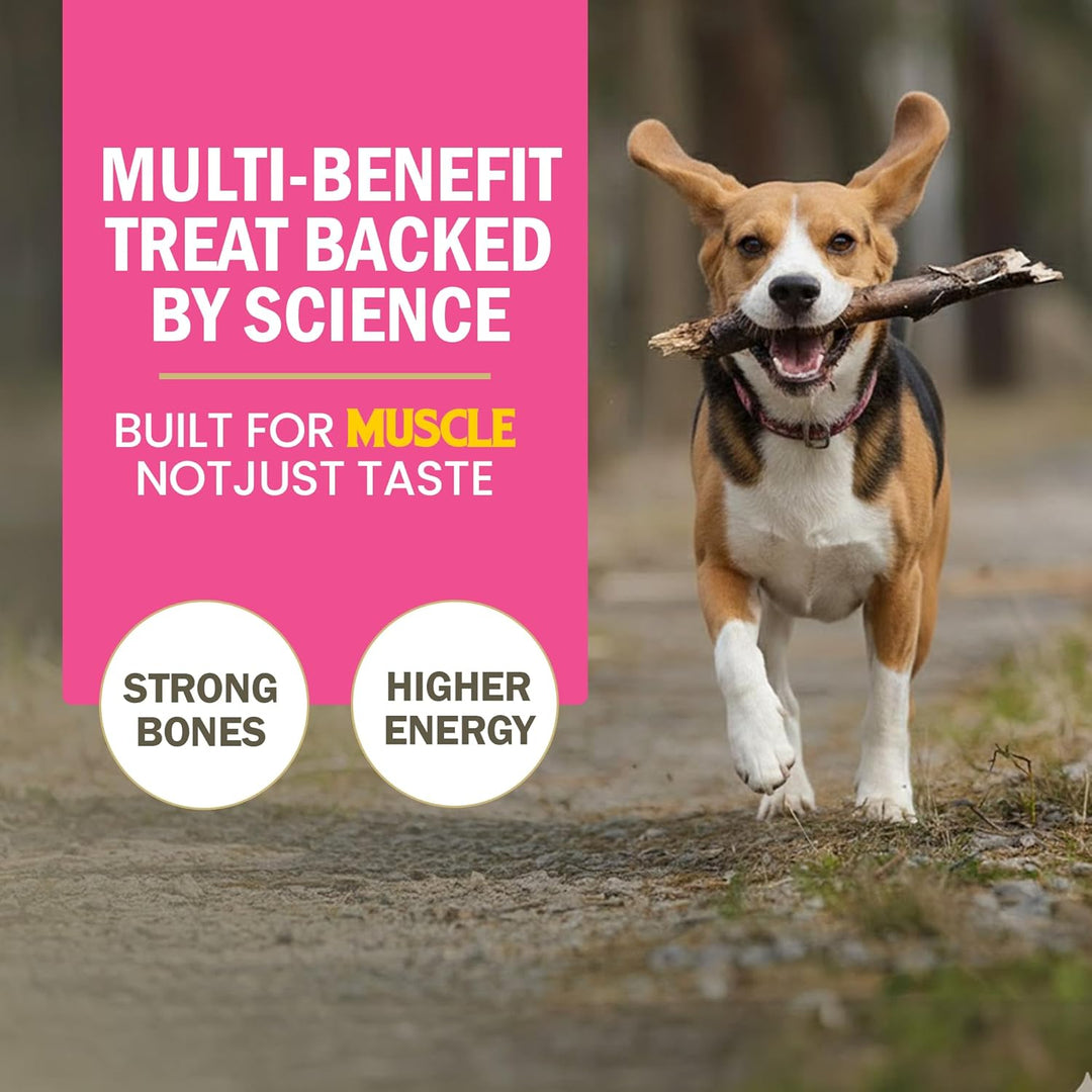 Gnawlers Calcium Milk Sticks for Dogs - 270g