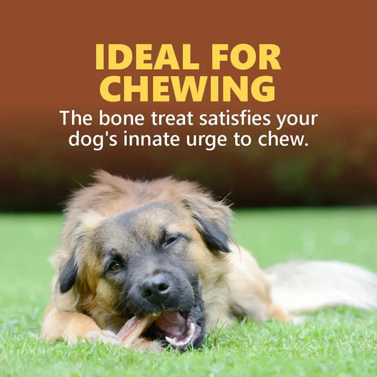 Gnawlers Calcium Chicken Stick – Dental Dog Treats (270g)