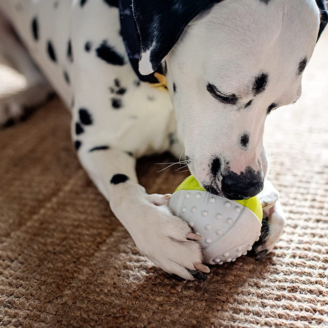 Holy Paws Fun N Play Interactive Squeaky Dog Toy Ball