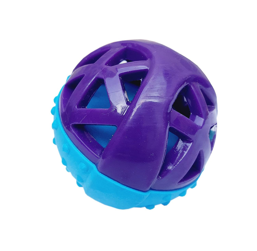 Holy Paws Fun N Play Interactive Squeaky Dog Toy Ball