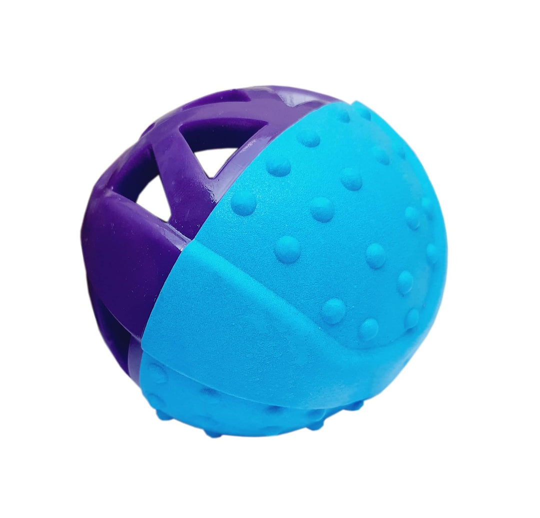 Holy Paws Fun N Play Interactive Squeaky Dog Toy Ball