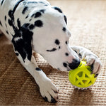 Load image into Gallery viewer, Holy Paws Fun N Play Interactive Squeaky Dog Toy Ball