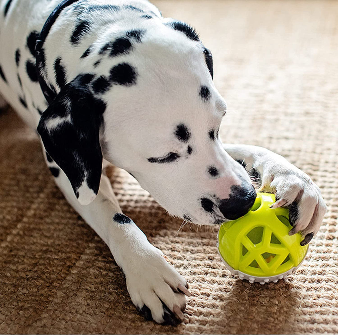 Holy Paws Fun N Play Interactive Squeaky Dog Toy Ball