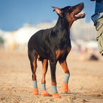 Load image into Gallery viewer, Holy Paws Silicone Base Dog Socks-Cum-Shoes Waterproof &amp; Anti-Slip