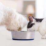 Load image into Gallery viewer, Holy Paws Tuff 'n' Elegant Stainless Steel Pet Bowl
