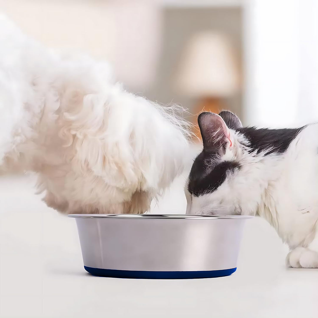 Holy Paws Tuff 'n' Elegant Stainless Steel Pet Bowl