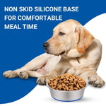 Load image into Gallery viewer, Holy Paws Tuff 'n' Elegant Stainless Steel Pet Bowl