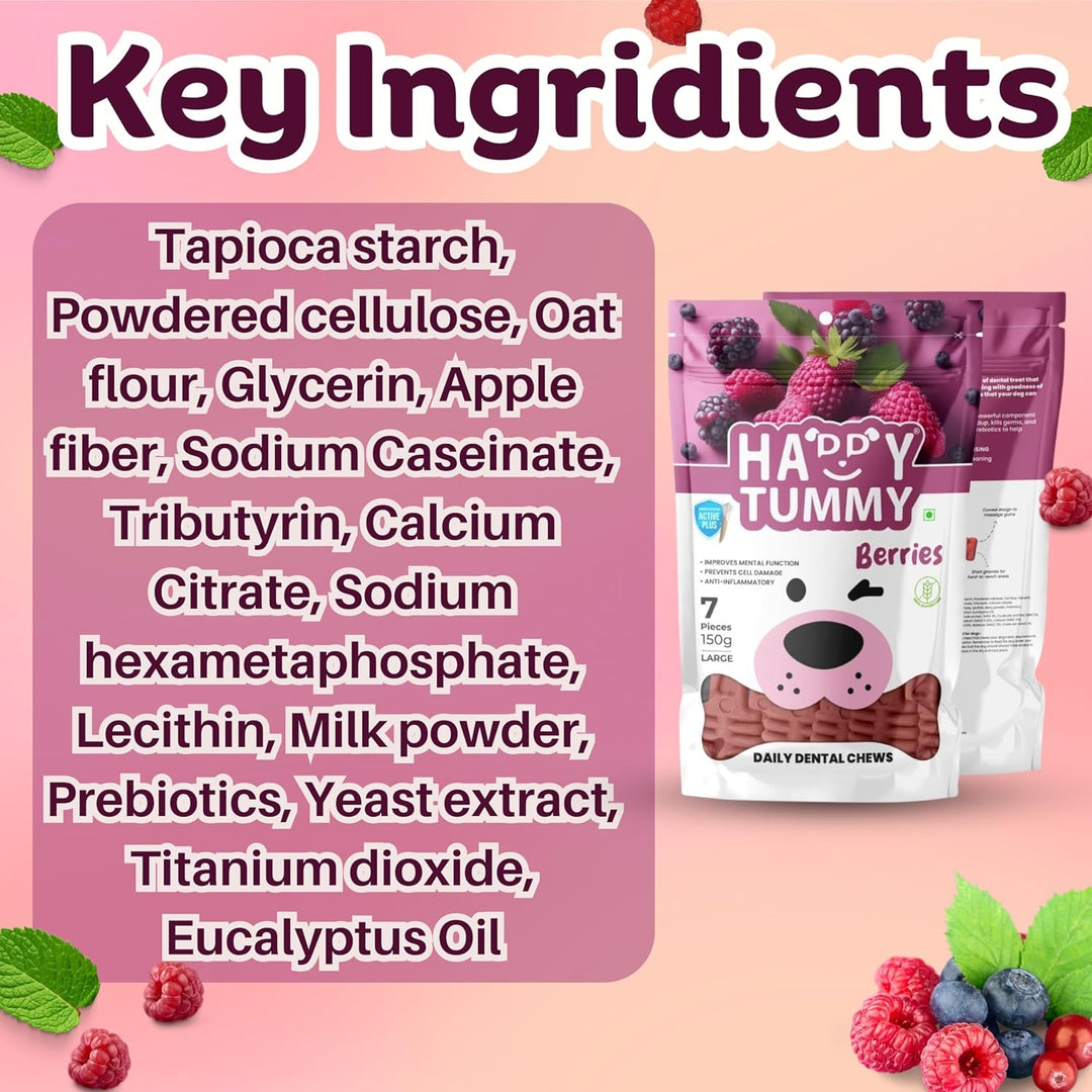 Happy Tummy Berries Daily Dental Chews – Large (7-in-1)