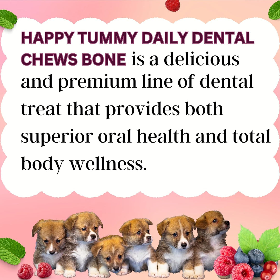 Happy Tummy Berries Daily Dental Chews – Small (21 Pieces)