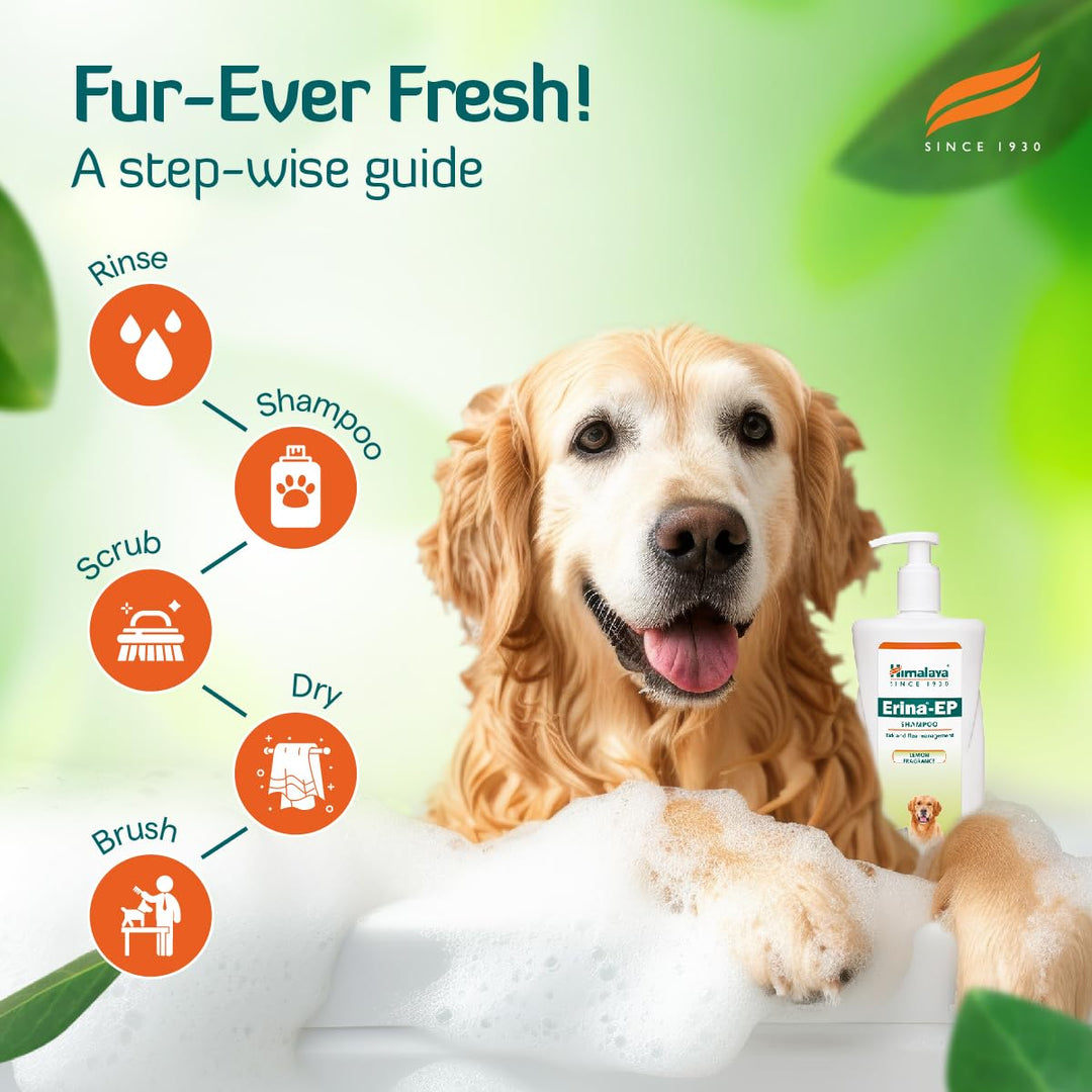 Himalaya Erina-EP Tick and Flea Shampoo for Dogs & Cats - Lemon Fragrance