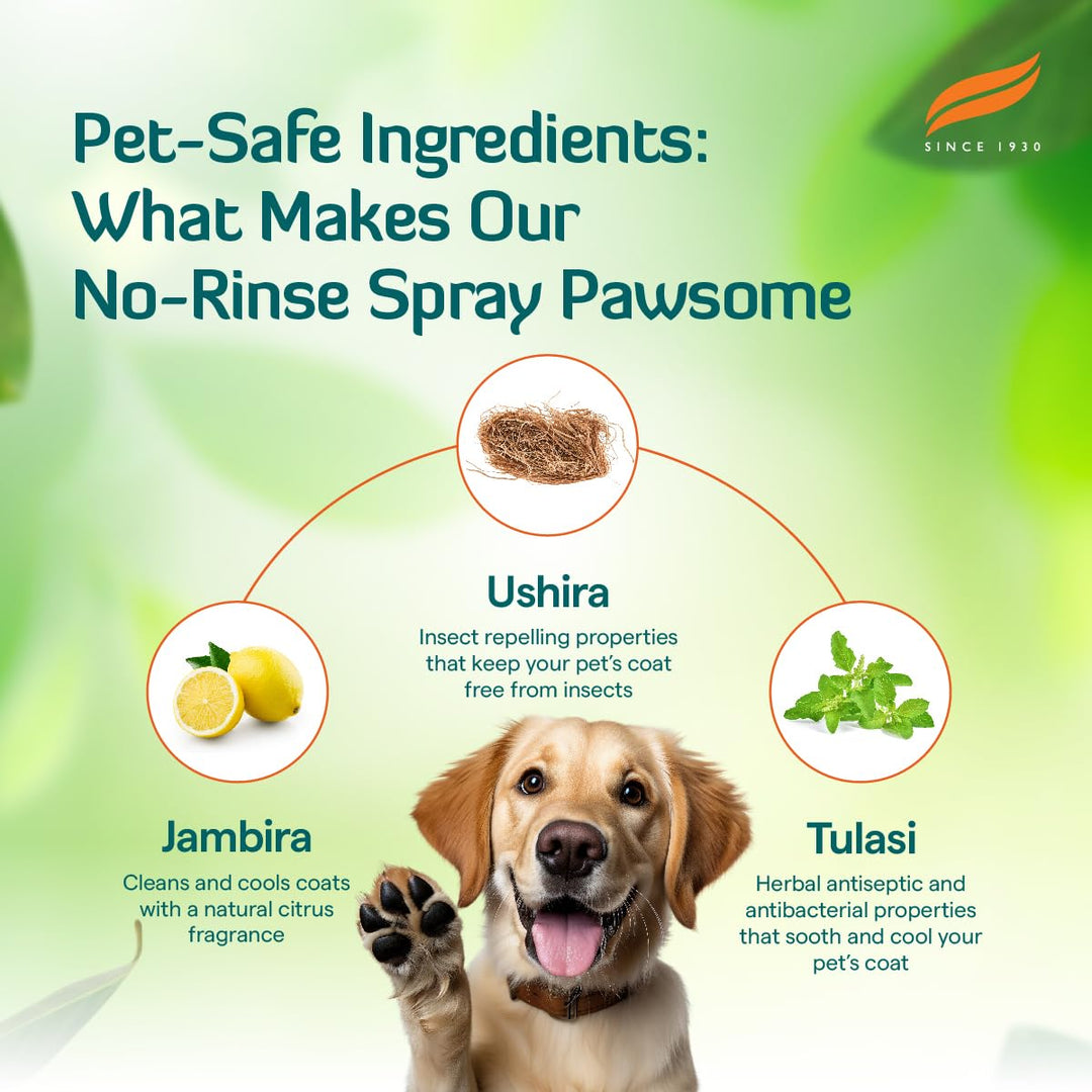 Himalaya FreshCoat No-Rinse Spray Waterless Shampoo for Dogs & Cats - (400ml)