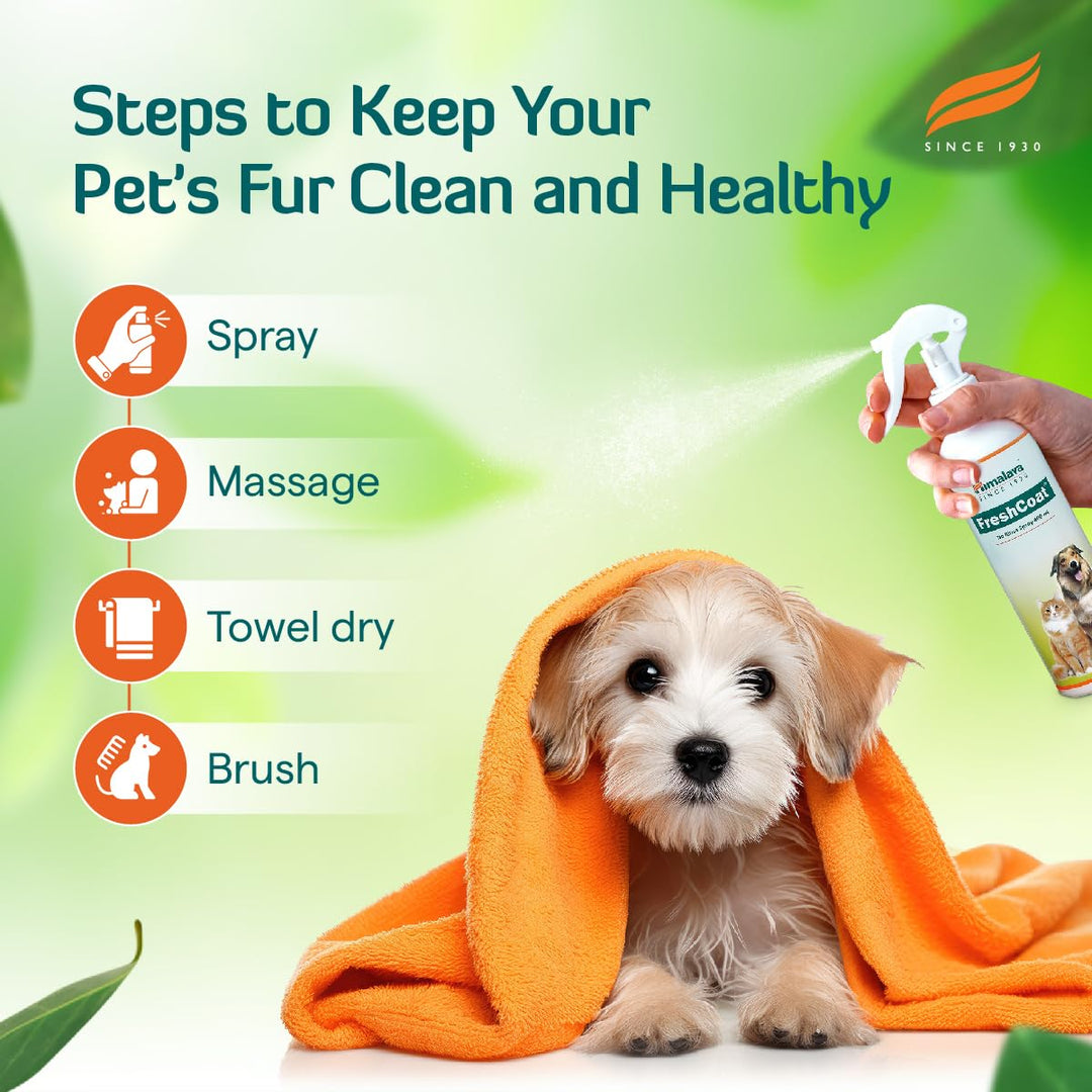 Himalaya FreshCoat No-Rinse Spray Waterless Shampoo for Dogs & Cats - (400ml)