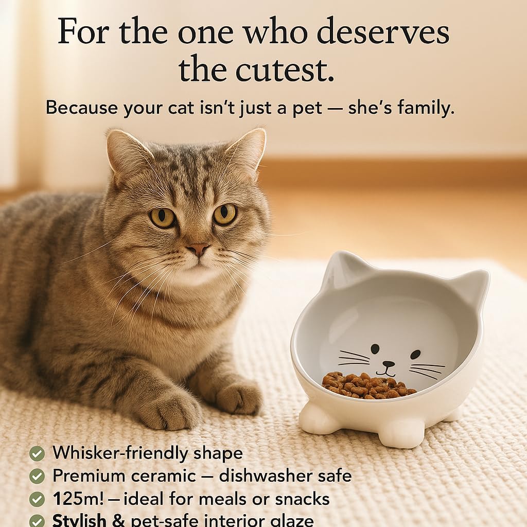 Holy Paws Ceramic Cat Bowl