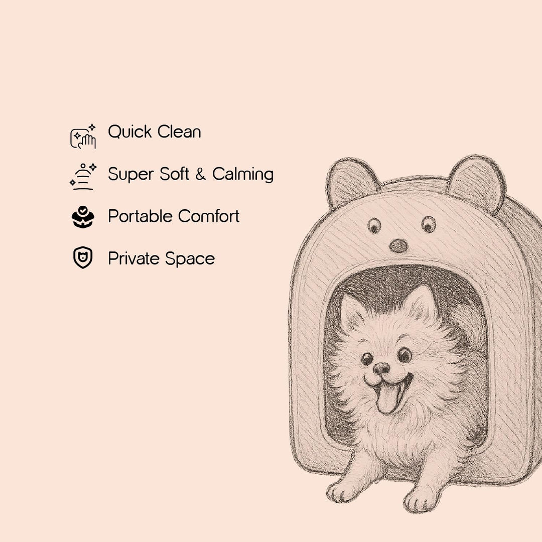 Hut-Small with Face for Pets