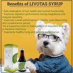 Load image into Gallery viewer, Intas Livotas Pet Liver Tonic - 200ml